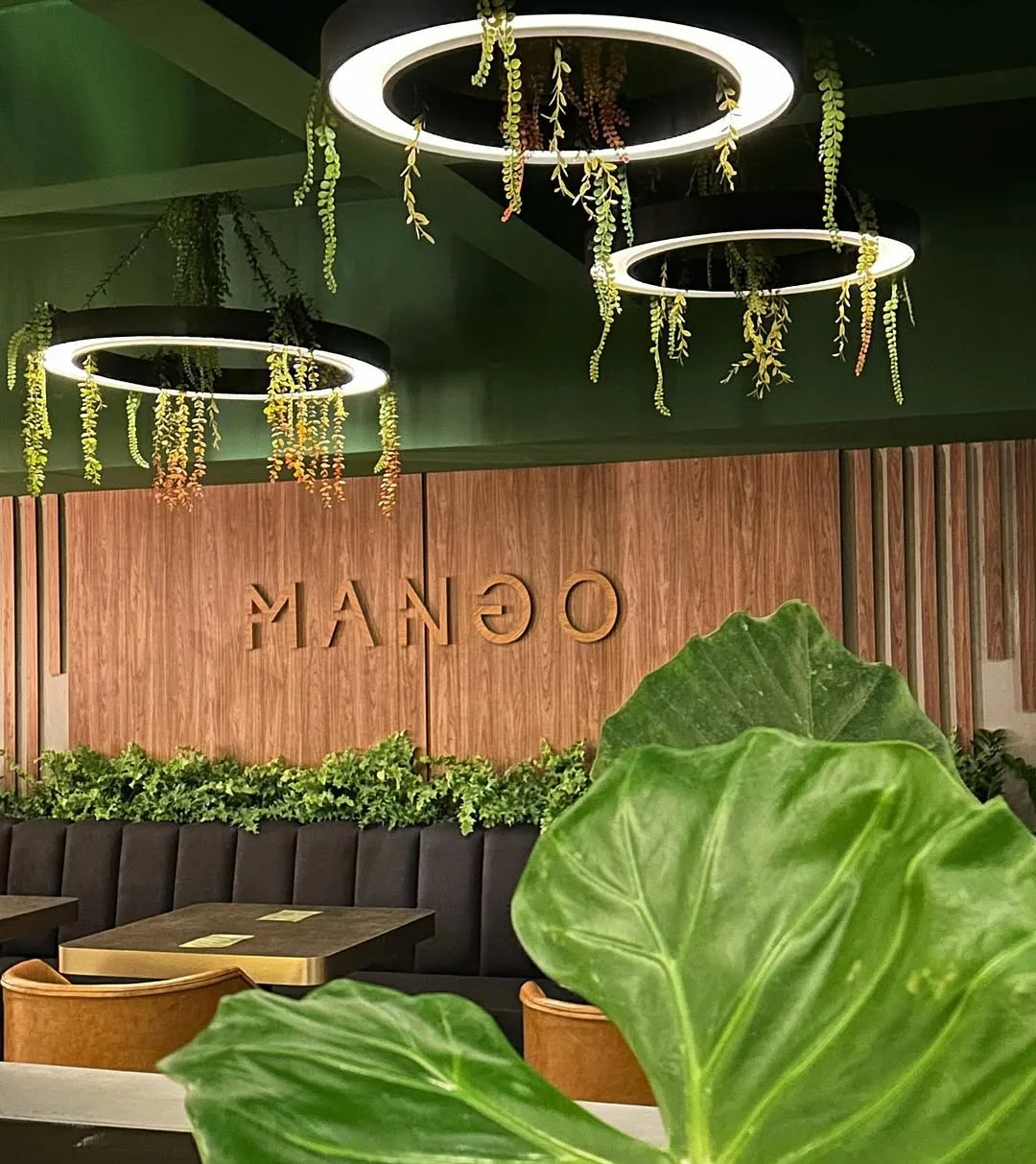 Parede ripada de madeira com o letreiro Mango sob três anéis de luz suspensos de onde caem plantas, teto verde profundo