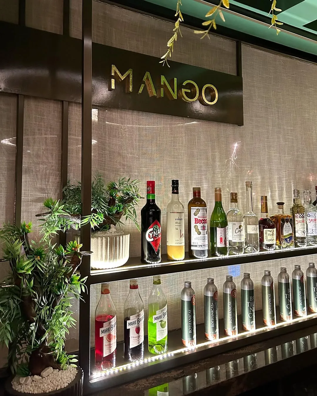 Bar do Mango com garrafas sobre prateleira retroiluminada e plantas