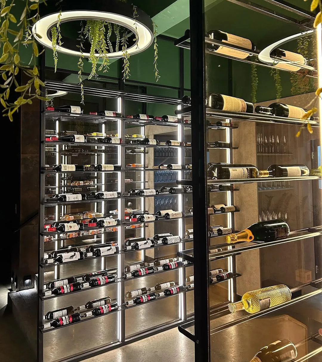 Adega de garrafas em prateleiras metálicas espelhadas, iluminada por anéis de luz com vegetação pendente